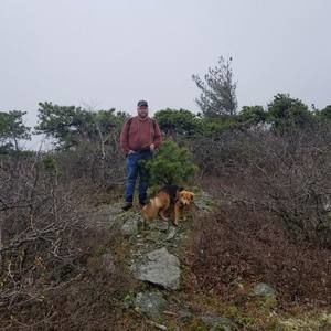 Meet your Posher, Zach